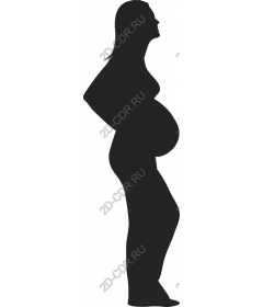  Elegant pregnant woman