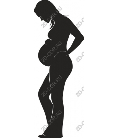  Elegant pregnant woman