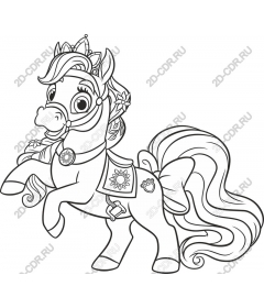  Fancy pony