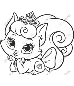  Cute Royal pet