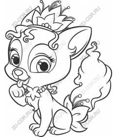  Charming Royal Fox