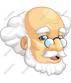 Wise Old Man
