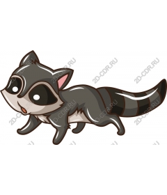 Playful raccoon