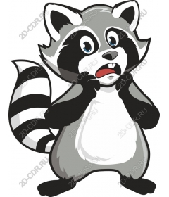 Surprised Raccoon