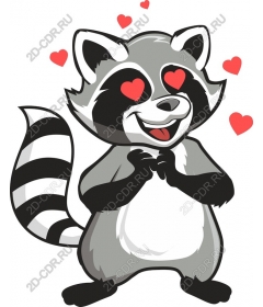  Cute raccoon