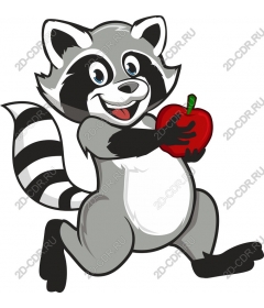  Adorable raccoon with Apple