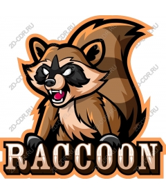  Fierce Raccoon