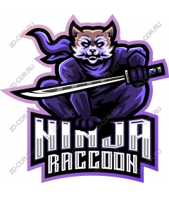  Ninja raccoon