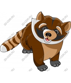 Playful raccoon
