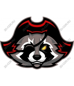  Pirate Raccoon