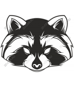 The head of a raccoon