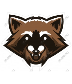  Adorable raccoon