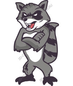  Fierce Raccoon