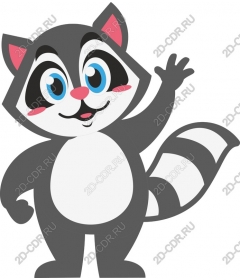 Funny Raccoon