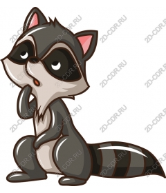  Curious Raccoon