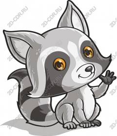  Adorable raccoon
