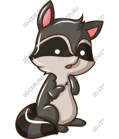  Cute raccoon