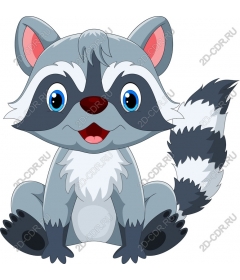  Cute raccoon