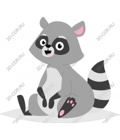  Fancy raccoon