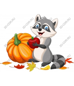  Autumn delight raccoon