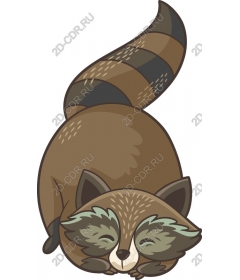 Sleepy Raccoon