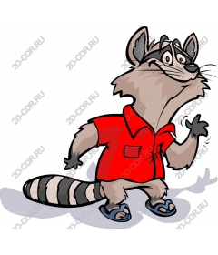 Funny Raccoon