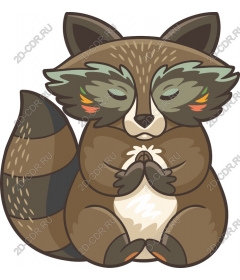 Meditative Raccoon