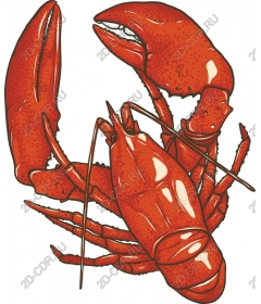  Stunning lobster