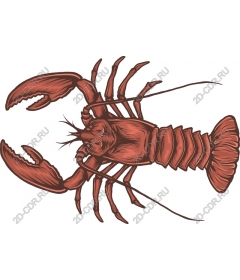  Art lobster