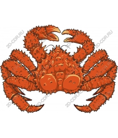 Prickly red crab