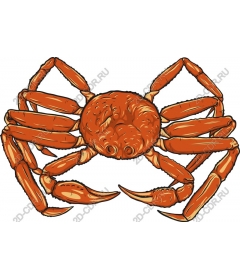  Bright crab and