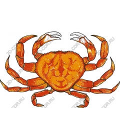  A smiling crab