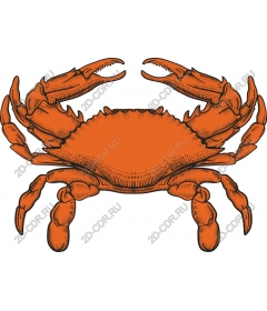 Vintage crab