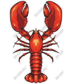 Lobster - high quality seafood