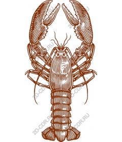 Vintage lobster