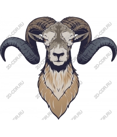 The majestic head of a RAM