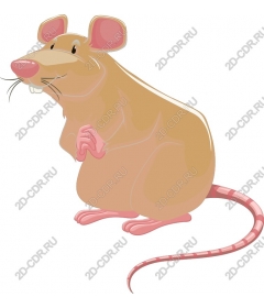  Adorable cartoon rat