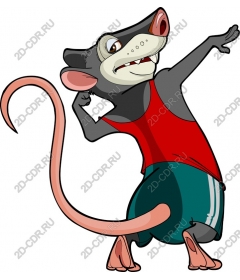  Sport rat
