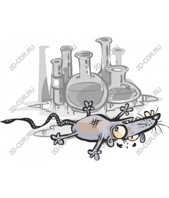 Laboratory mouse