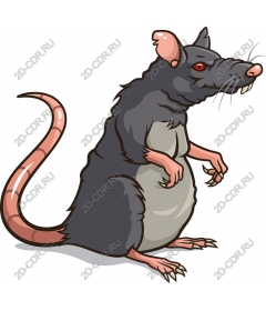  Cartoon rat