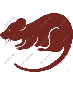  Charming brown rodent