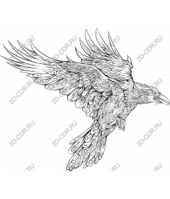  A stylized bird