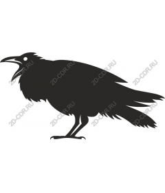  Ворона