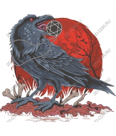 The mysterious Raven