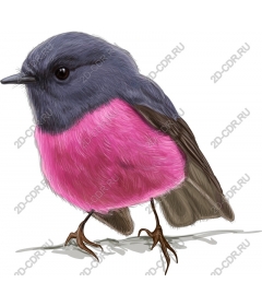  Bright Bird