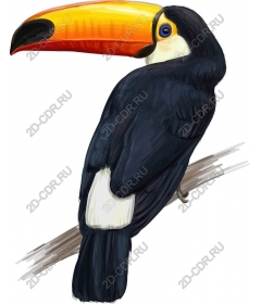  Bright Toucan