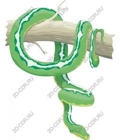 Green Python on a branch