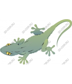  Bright Gecko