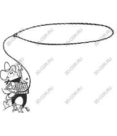  Fancy cowboy winding ropes