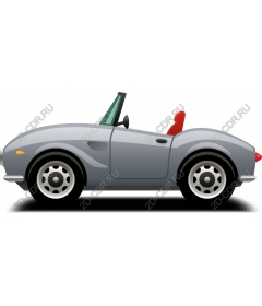  Stylish gray convertible